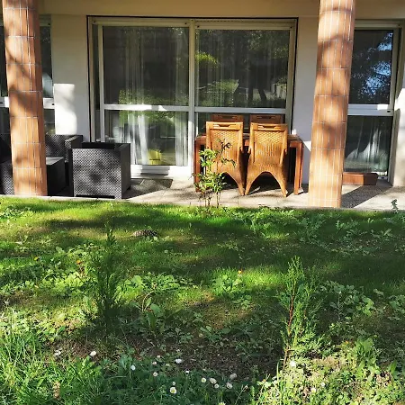 Bel Avec Jardin Prive Au Calme Appartement Straatsburg